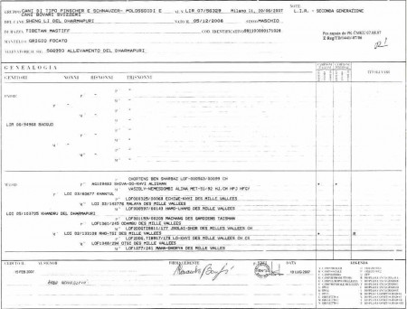 deldharmapuri_shengli pedigree